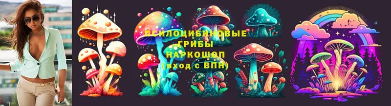 Псилоцибиновые грибы Psilocybe  площадка какой сайт  Болхов  купить наркотик 